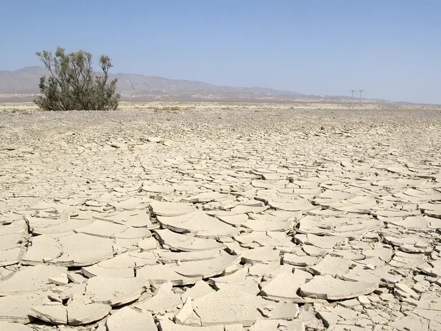Repetek Biosphere Reserve — Serhetyaka Trade Hub (Turkmenistan)