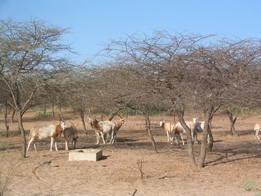 Gueumbeul Reserve