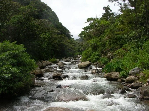 Caldera Fluss — Volcán Barú (Panama)