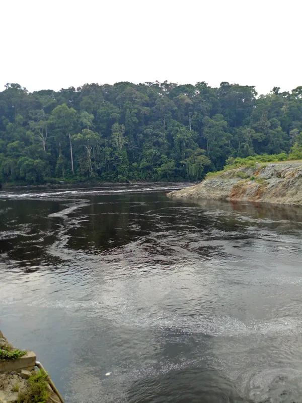 Ntem River