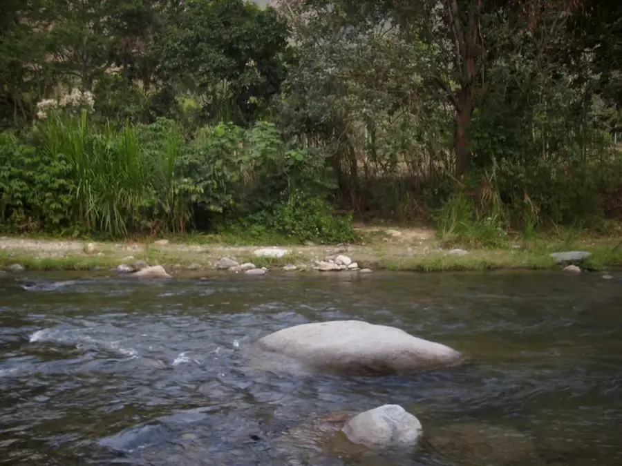 Rionegro