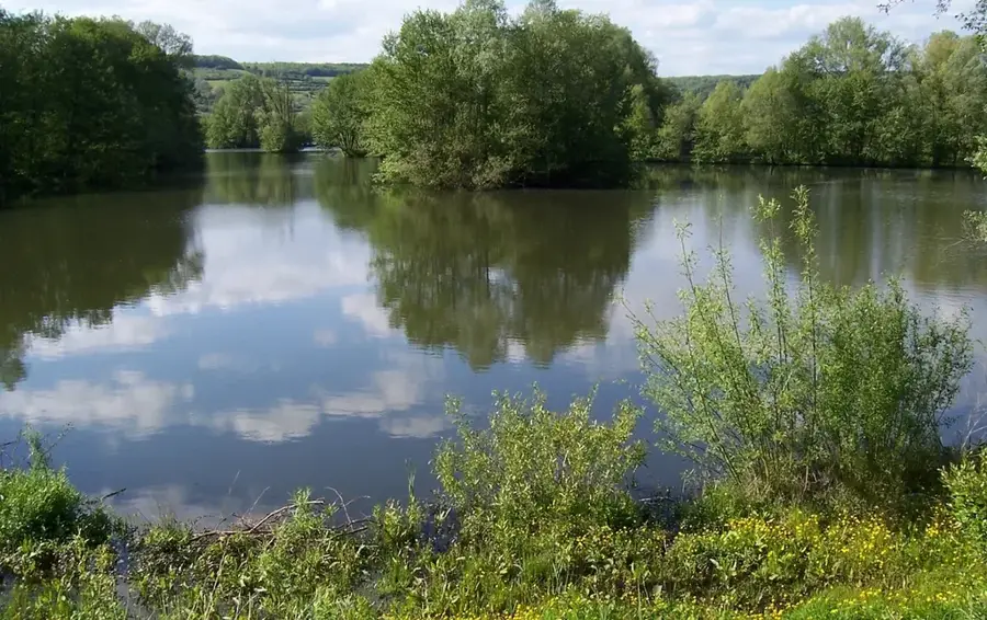 Blies – river