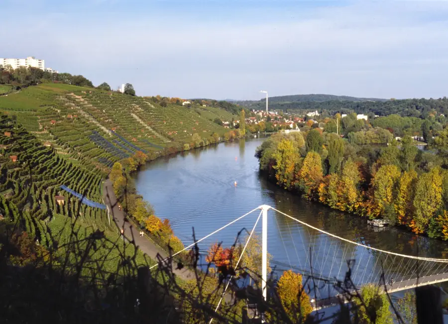 Neckar (Germany)