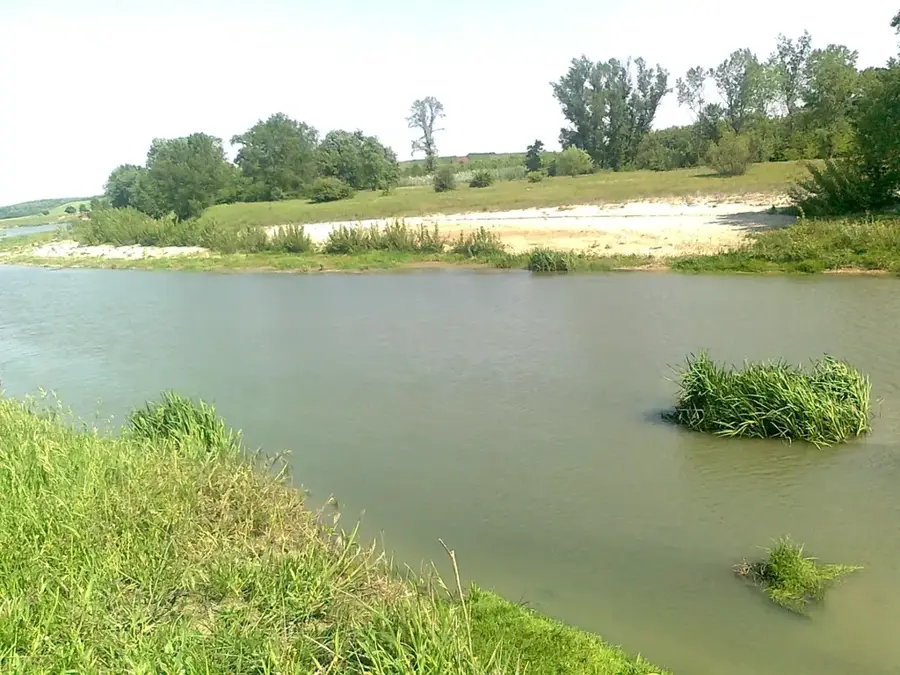 Vedea – Fluss