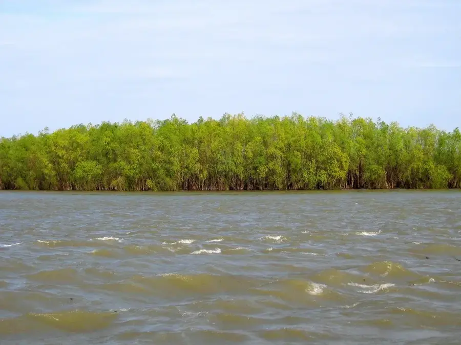 Naturpark Kleine Brăila-Insel — Borcea (Rumänien)