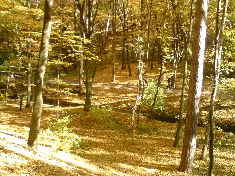 Trivale-Park — Alt (Rumänien)