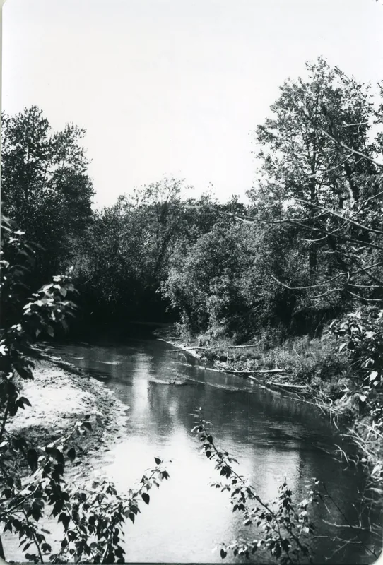 Roaring River — Peter Tosh Denkmal (Jamaika)
