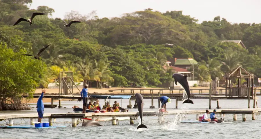 Roatan Marine Science Center — Guaimoreto Lagoon (Honduras)