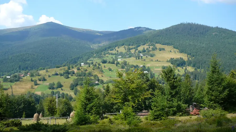Arieșeni – city