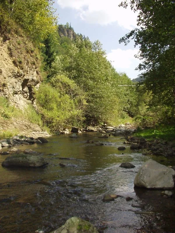 Călimani Mountains – mountain