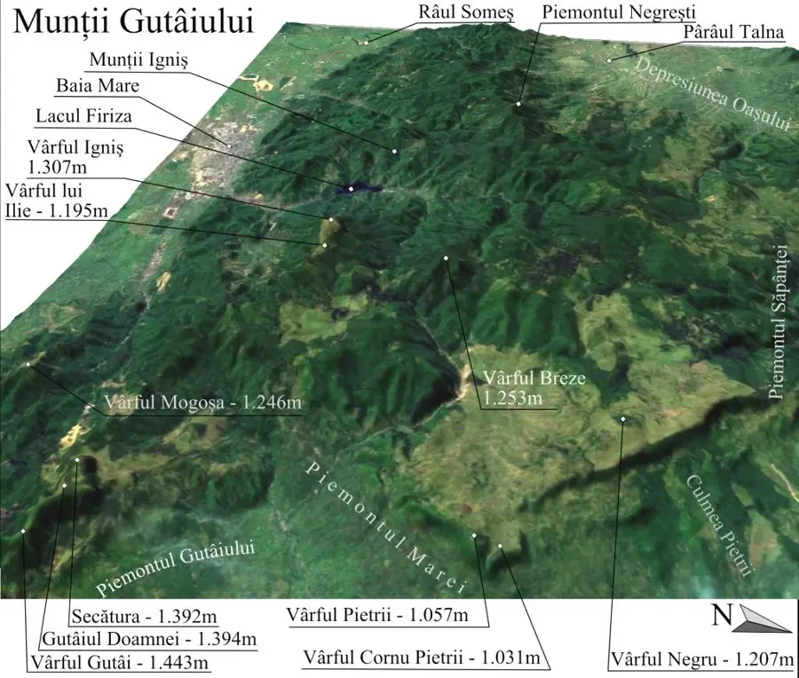 Gutâi-Gebirge – Berg