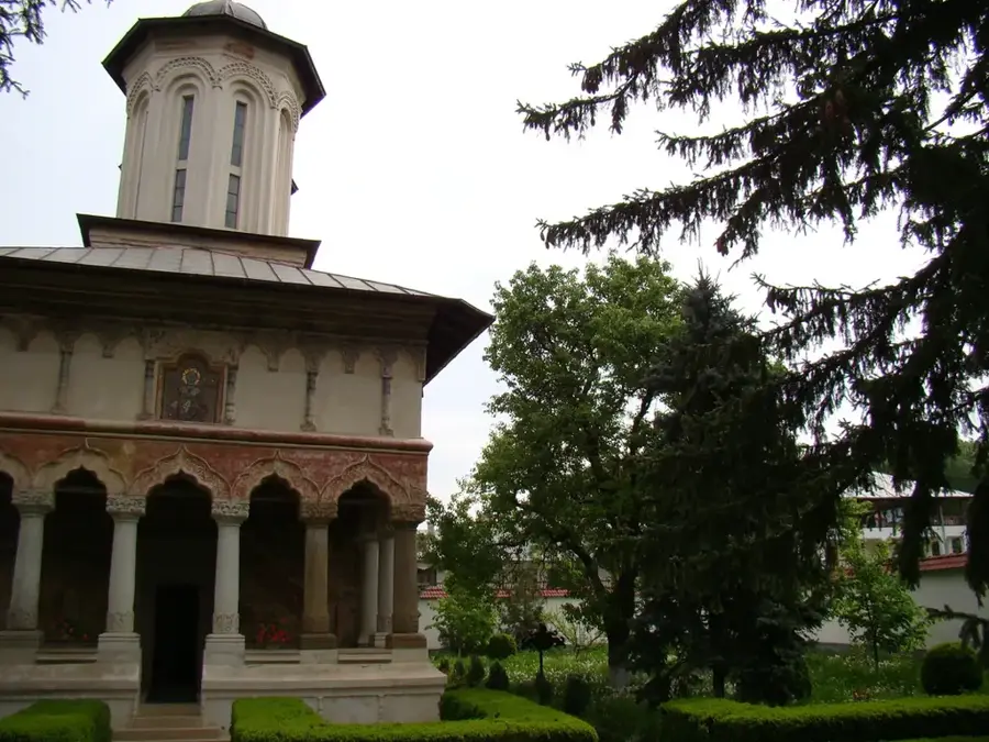 Nuci – város