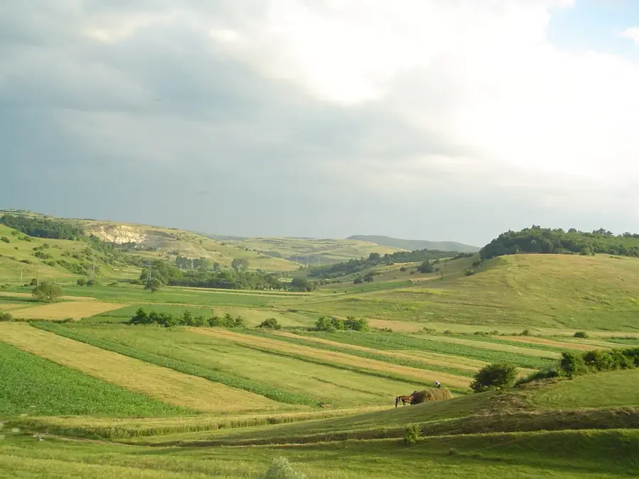 Transylvanian Plateau