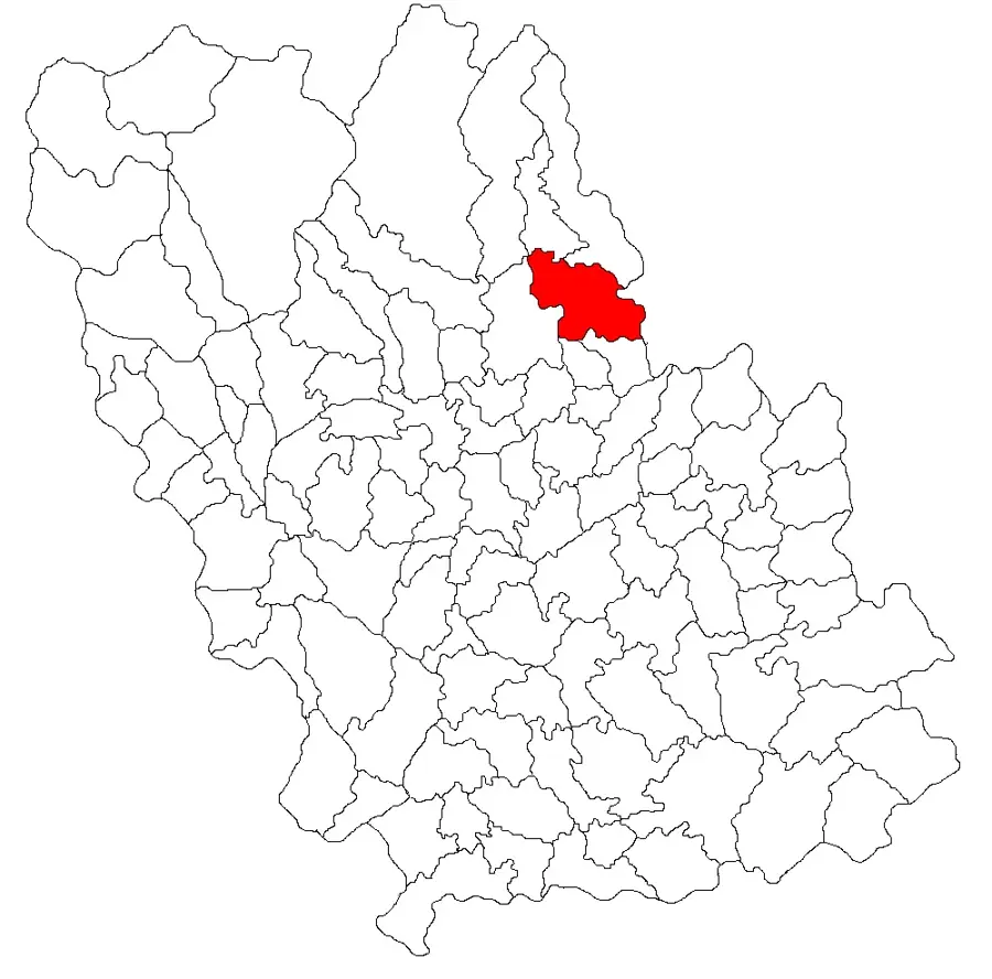 Posești – Stadt