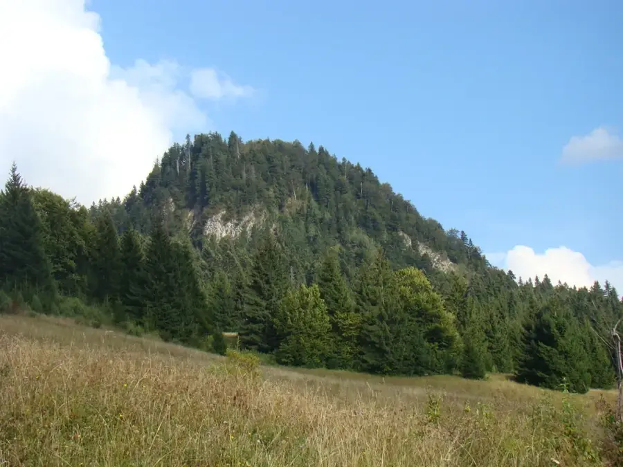 Detunata Flocoasă — Teiuș (România)