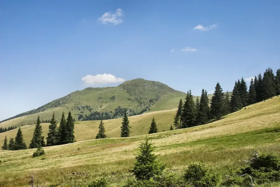 Vârful Fărcău — Breb (Rumänien)