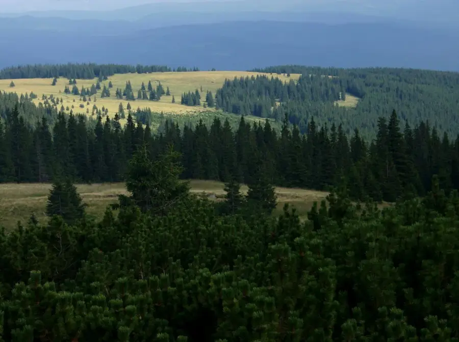 Pietrosul Călimani Peak — Voitinel (Romania)