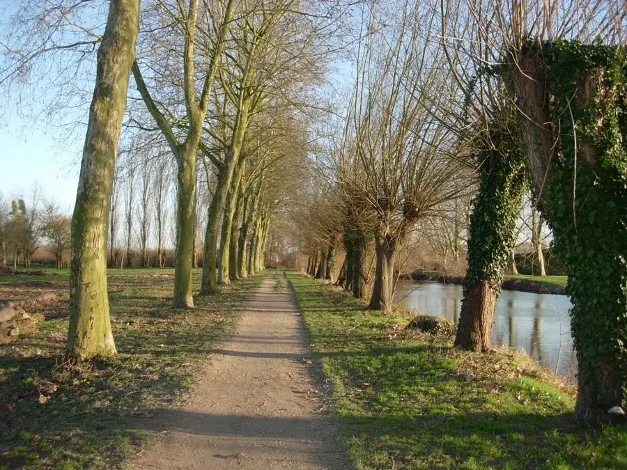 Romilly-sur-Seine – oraș