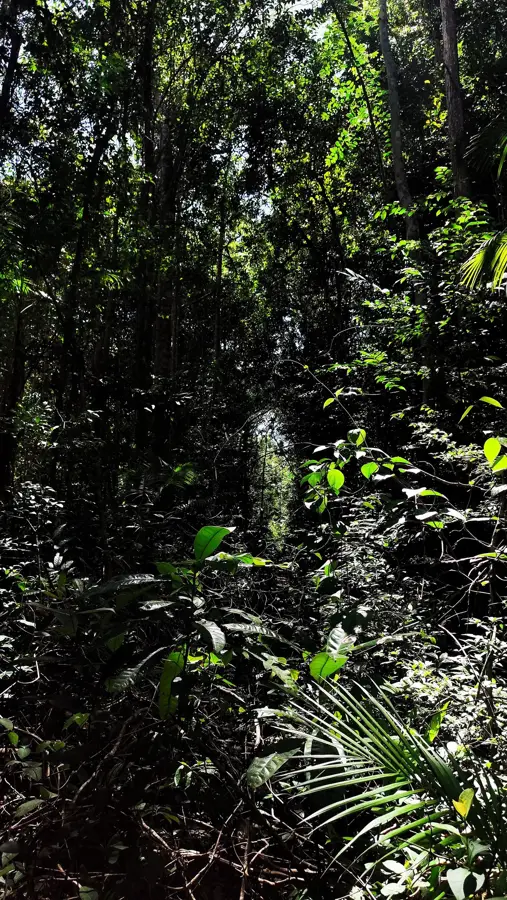 The Cocoa Route of Bahia — Lacerda Elevator (Brazil)