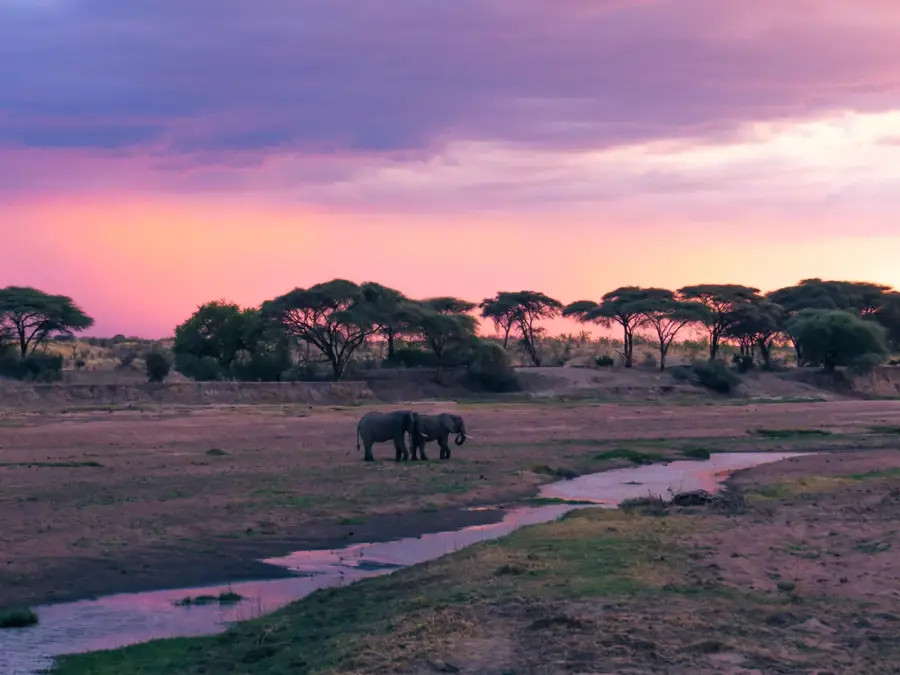 Großer Ruaha — Rukwasee (Tansania)