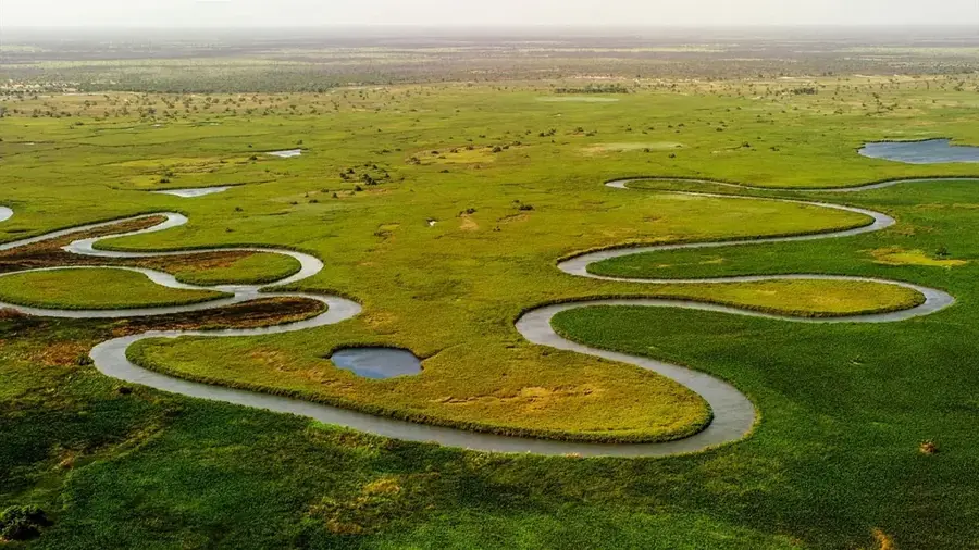 Rufiji-Delta-Lebensraum — Arusha-Deklarations-Denkmal (Tansania)