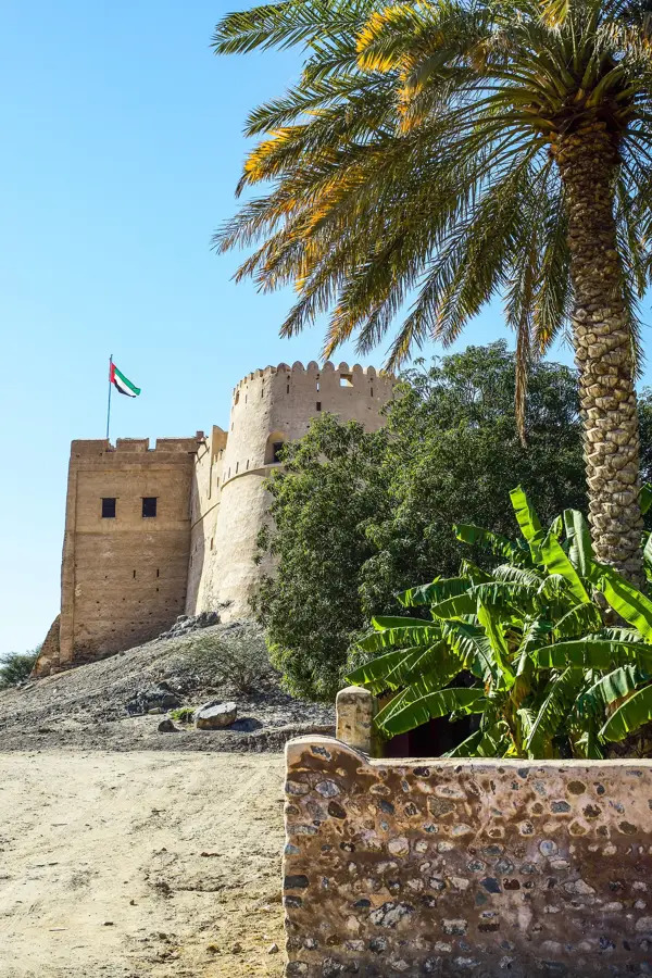 Rumailah Farm — Dadna (United Arab Emirates)