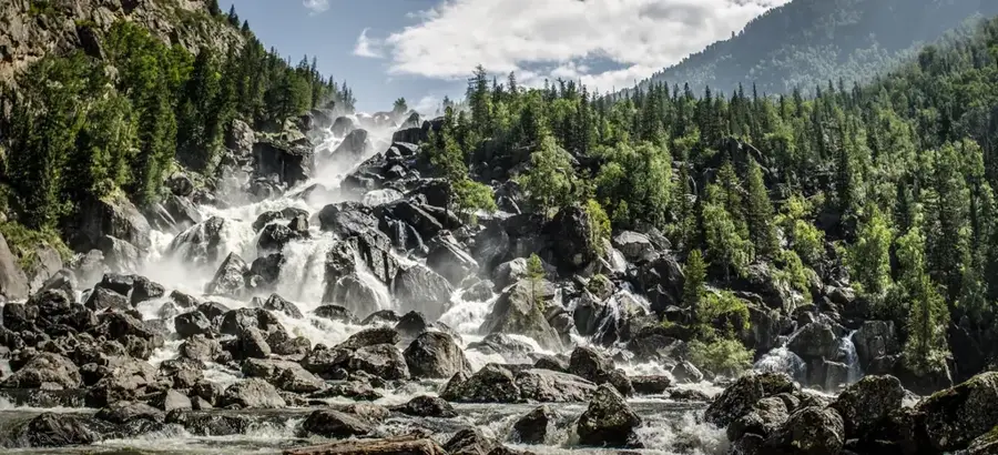 Altai Nature Reserve