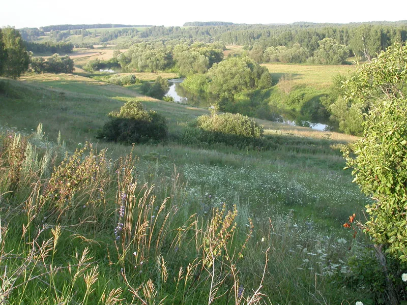 Central Russian Upland
