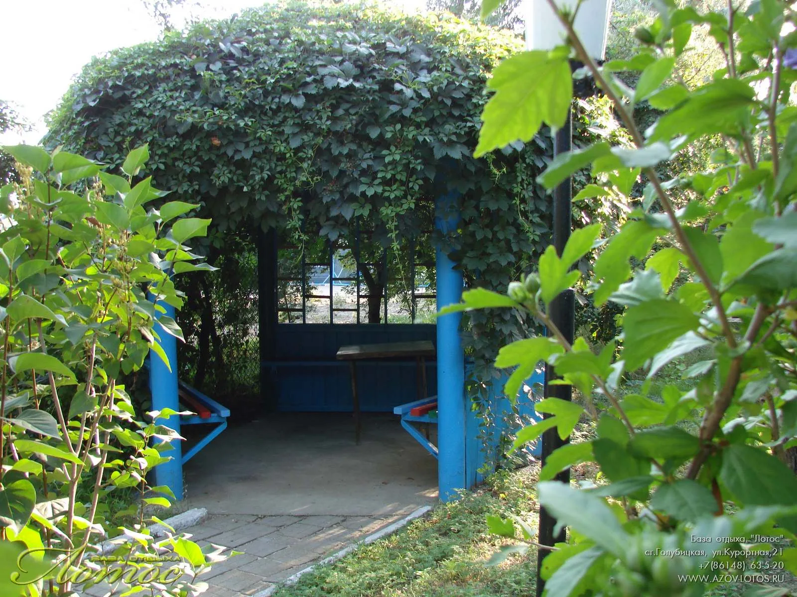Golubitskaya