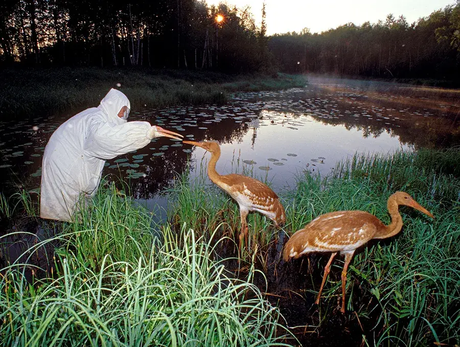 Oka Nature Reserve