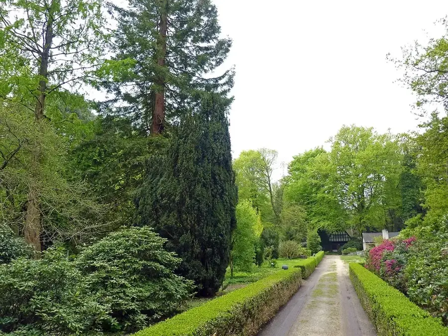 Sochi Arboretum