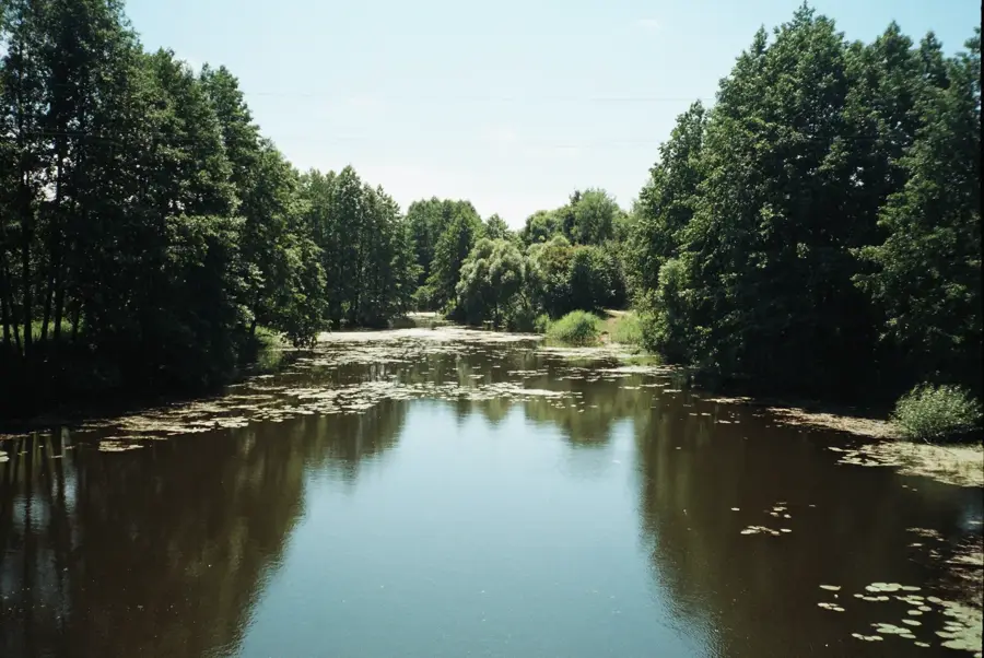 Voronezh Nature Reserve