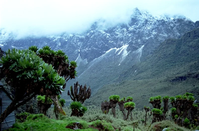 Rwenzori-Mountains-Nationalpark — Katwe (Uganda)