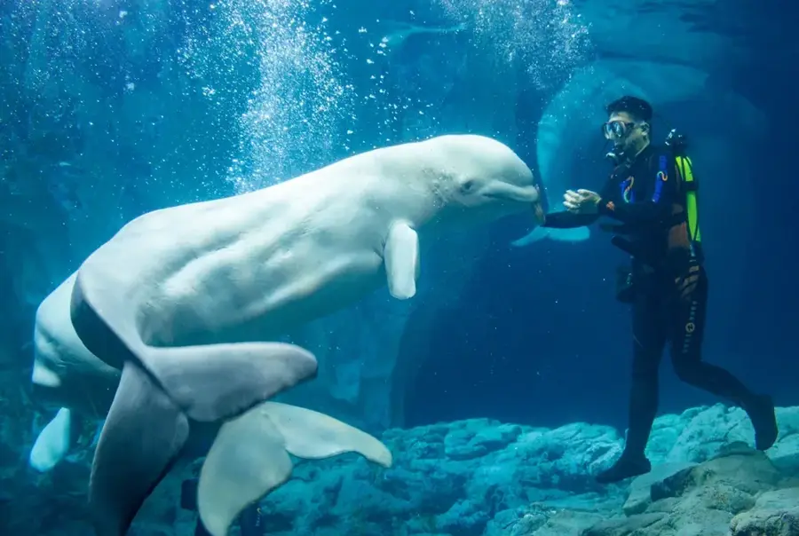 Fakieh-Aquarium — Thuwal (Saudi-Arabien)