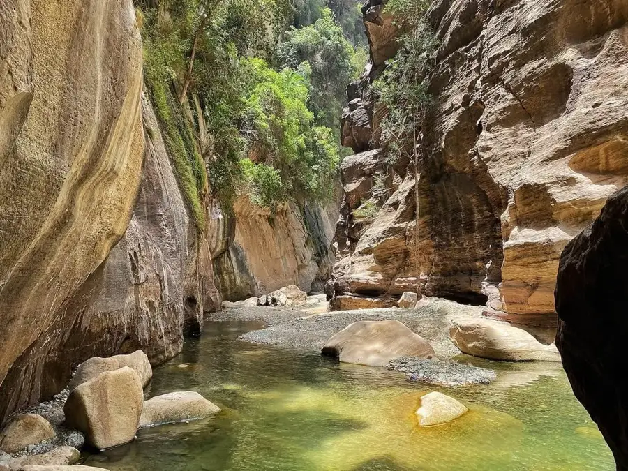 Wadi ad-Dawasir — Zemun (Serbien)