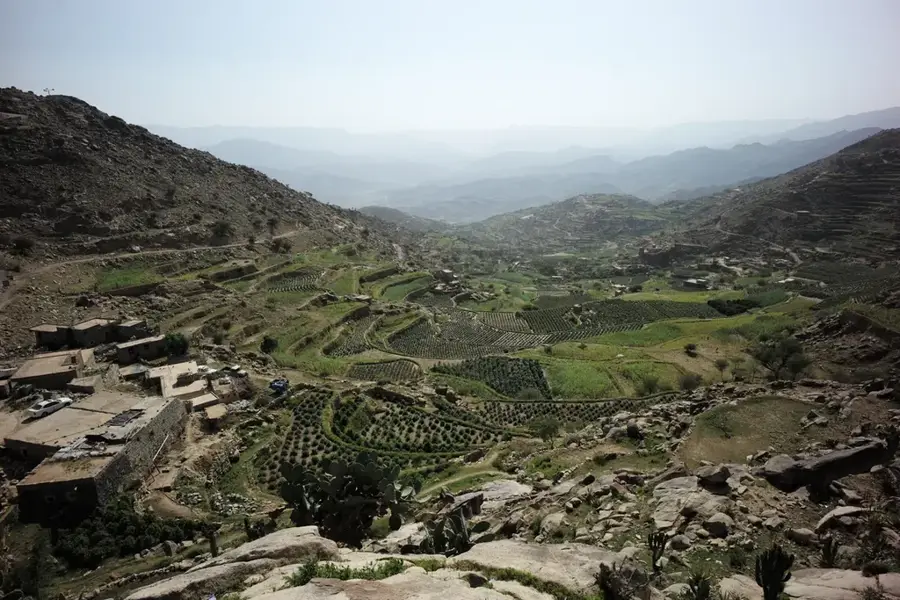 Saada