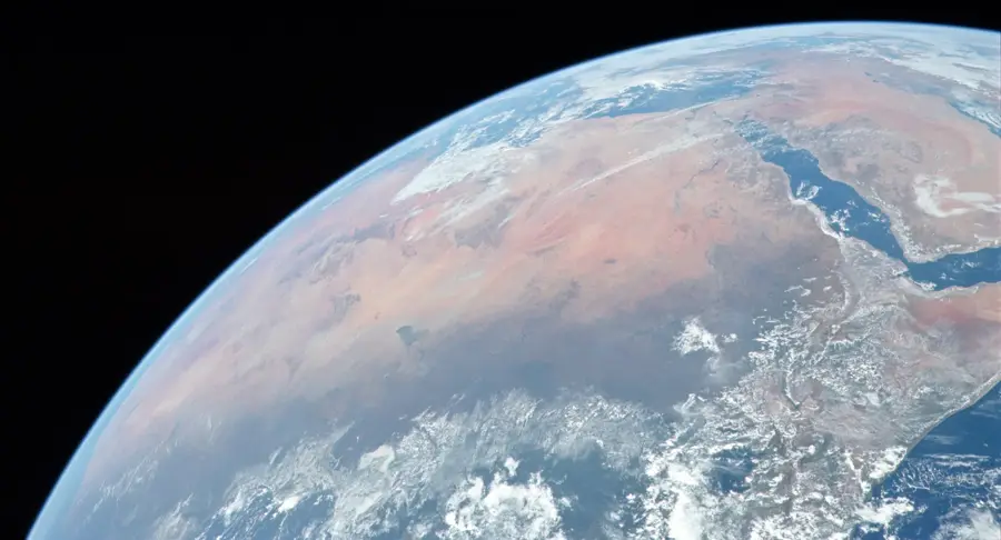 Habitat de cămile din Sahara