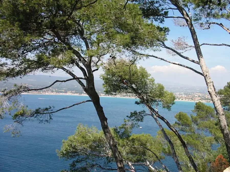 Saint-Cyr-sur-Mer – oraș