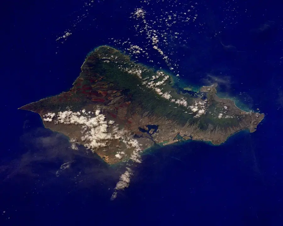 Sanctuarul de Păsări din Palm Island