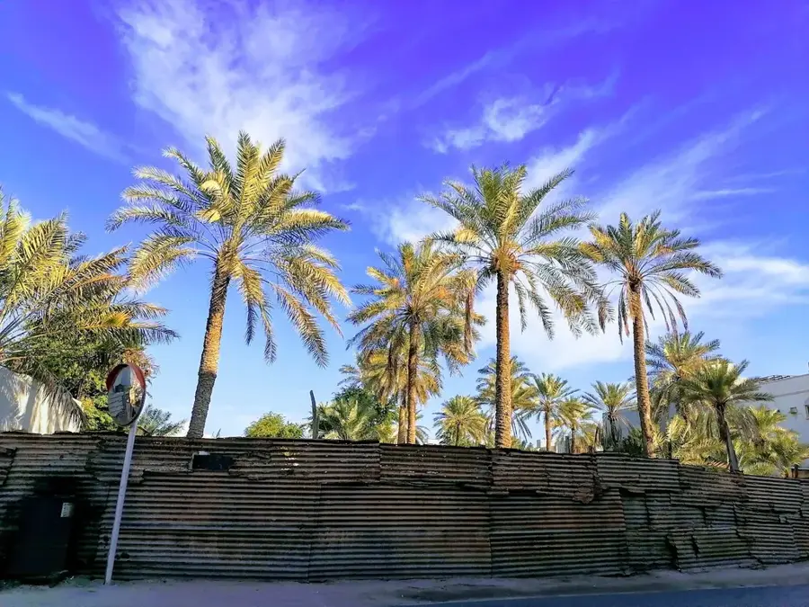 Samaheej — Arad (Bahrain)