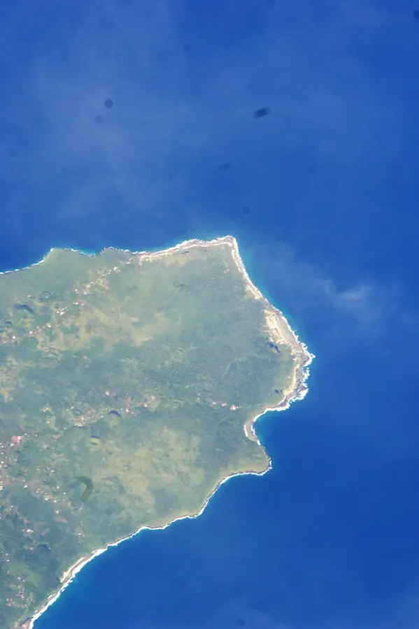 Rezervația de Pădure Tropicală Falealupo