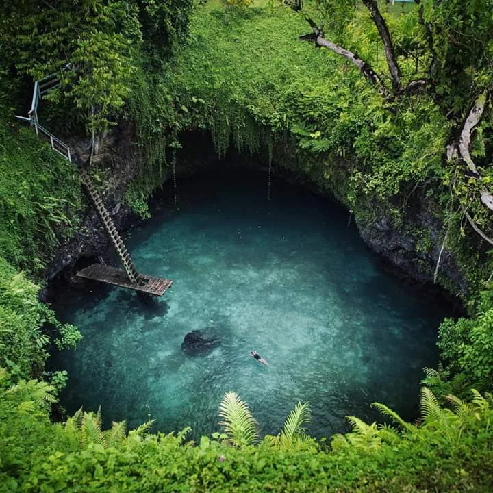 Lotofaga Tai