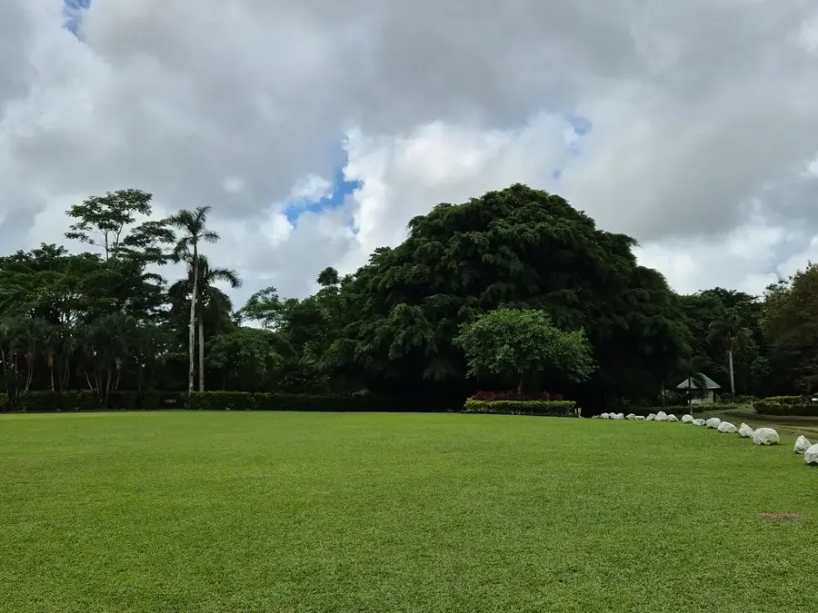 Grab von Robert Louis Stevenson — Alaoa-Talsperre (Samoa)