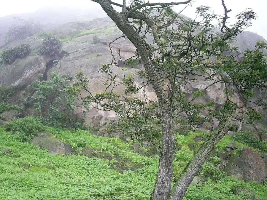 San Lorenzo Cloud Forest — Boaco (Nicaragua)