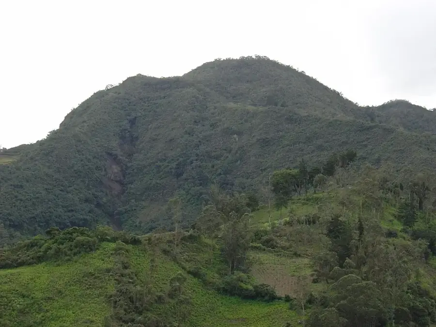 San Manuel — La Lima (Honduras)