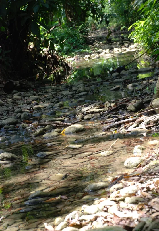 San Pedro Columbia — Monkey River (Belize)
