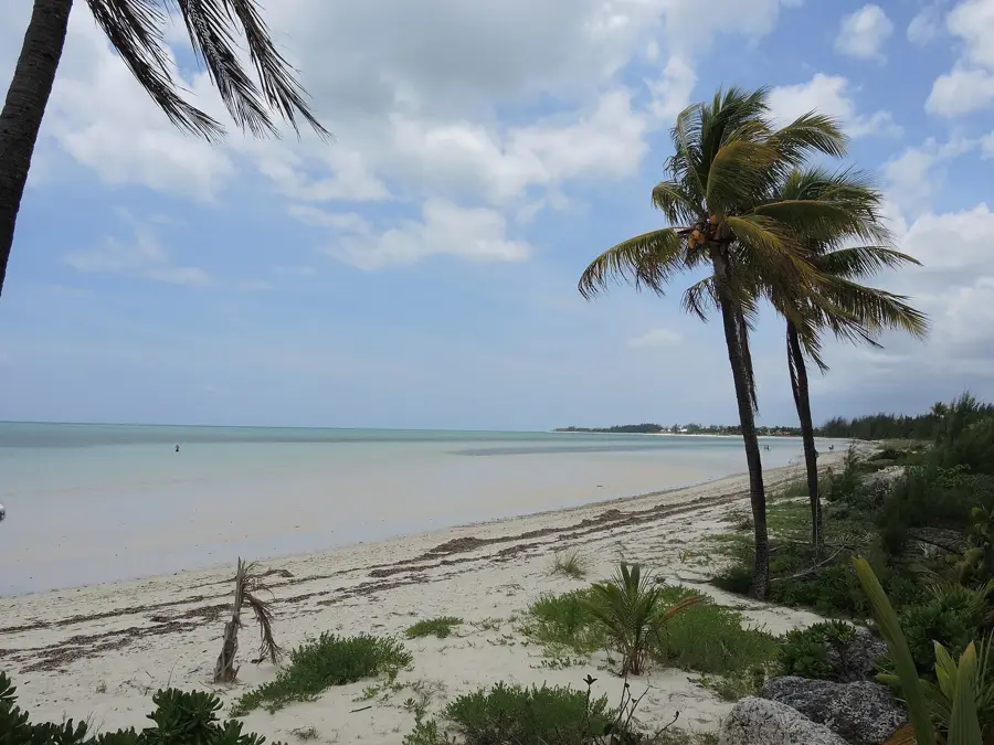 Dolphins at Sanctuary Bay — Freetown (Bahamas)