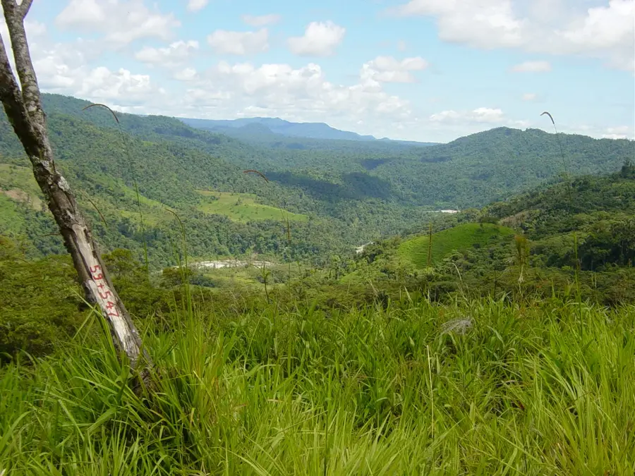 Parcul Național Sangay — Puyo (Ecuador)