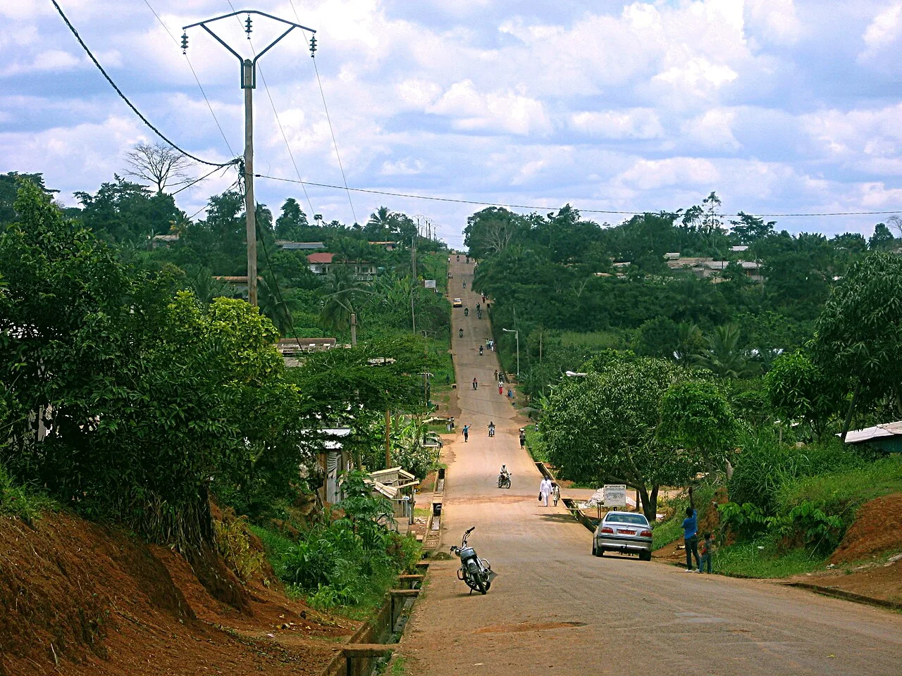 Sangmelima Cocoa Cooperative — Djoum Rainforest Reserve (Cameroon)