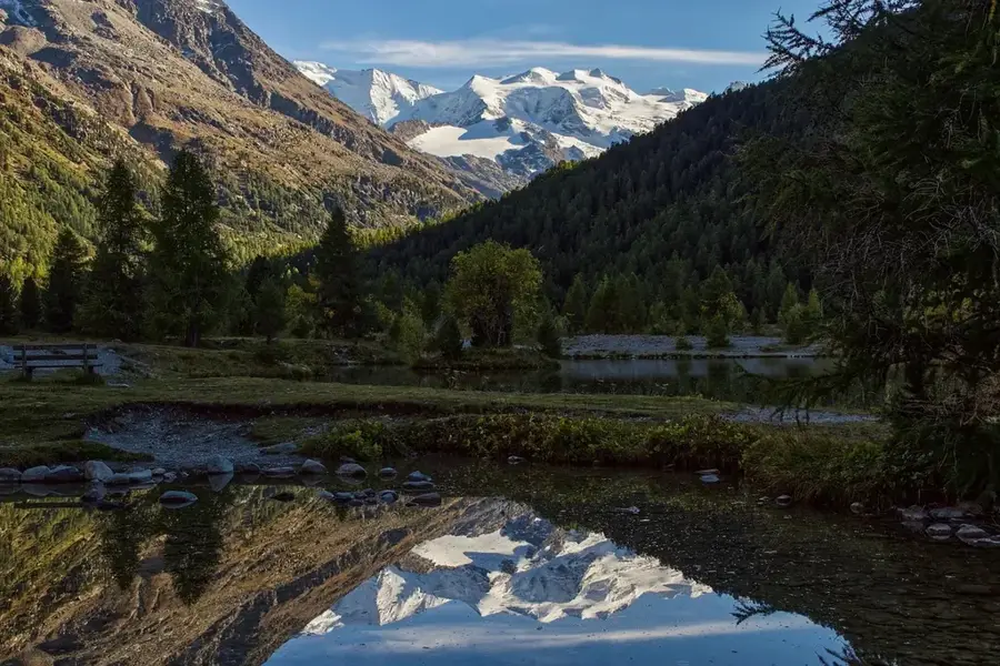 Pădurea Monte Giardino